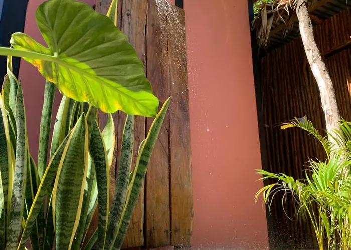 Casa Calu Cozy & Confortable Jungle House With Pooll