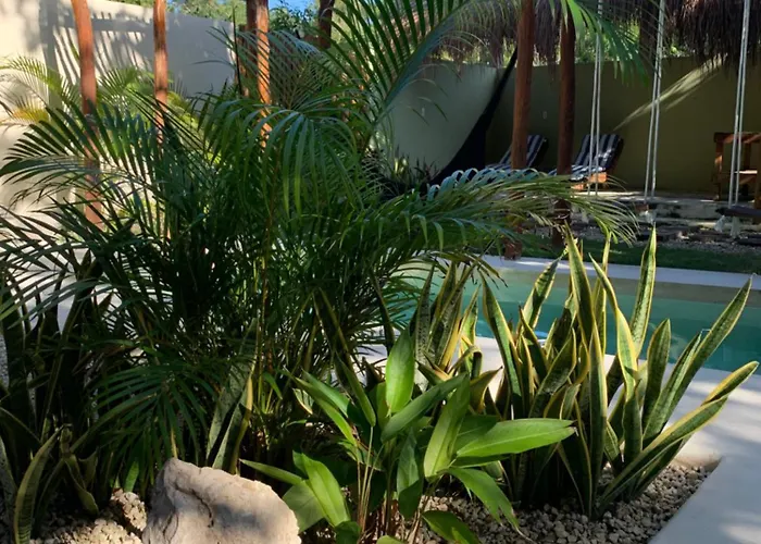 Сasa de vacaciones Casa Calu Cozy & Confortable Jungle House With Pooll